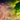 Wicked: The Soundtrack