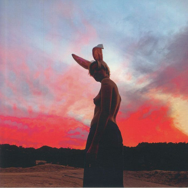 The Sky Is Bleeding - Vinyl Longplay 33 1/3