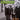 Warning (1LP/Flourescent Green)