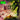 Wicked: The Soundtrack